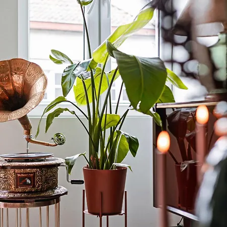 公寓 For 3 Guests 根特