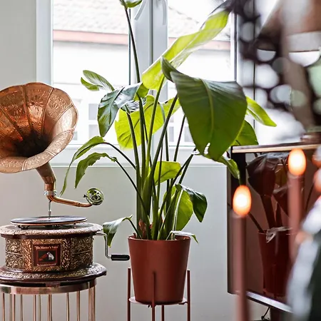 For 3 Guests * Ghent